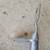 2003-08 Suzuki LTZ400 Seat / Headlight / Plastics 24 thumbnail