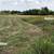 🚜 PROPERTY  and LOT SHREDDING  ▶  FIELDS and ACREAGE  CITY and COUNTRY 2 thumbnail