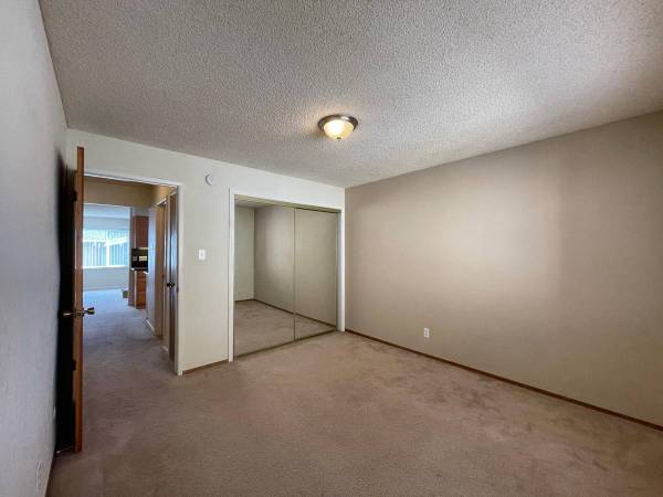 $1,000 / 2br - 850ft2 - 1 baño Apartamento en Albany disponible ahora (albany / el cerrito)63834316490883121