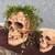 Skull Pots 2 thumbnail