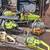9ASSORTED CAINSAWS  33CC TO 45CC FOR REPAIR 2 thumbnail