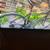 Mec chinook city bike 3 thumbnail