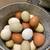 Free Range Eggs 5 thumbnail