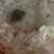 Dwarf hamster 2 thumbnail