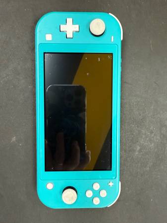 Switch Lite 1
