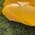 Toyota Supra A90 Hood - Damaged 4 thumbnail