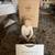 Willow Tree Collectible statues 4 thumbnail