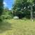 Lawn and hedge trimming 16 thumbnail