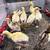 Peachicks/ peacocks 4 thumbnail