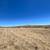 Field/Tractor mowing, disking, junk removal/hauling 1 thumbnail