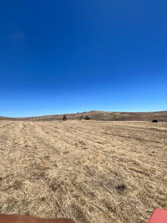 Field/Tractor mowing, disking, junk removal/hauling 1