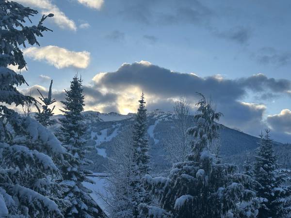 1 bed / den available for 1 month January 15th - Feb 15 th 1