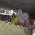 Birds inglish buggies 6 thumbnail