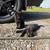 Three kittens 1 thumbnail
