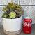succulent plant arrangement in white ceramic planter 1 thumbnail