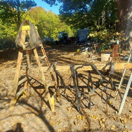 Work horse harness 1