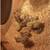 Easter egger/prairie bluebell  chicks 3 thumbnail
