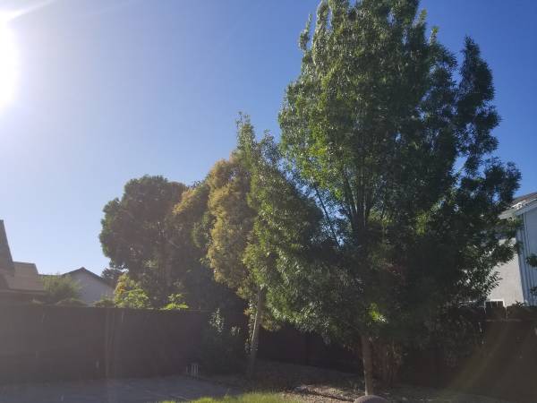$950 / 1br - 100ft2 - Discounted Room in Community house in Petaluma (petaluma)63824142396417122