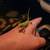 Veiled Chameleon 3 thumbnail