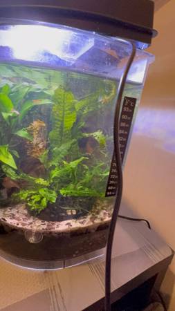 complete 3.5 gallon aquarium 1