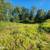 - Pending - Residential lot off Holt-Lamplight 7 thumbnail