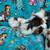 Needing good homes guinea pigs dwarf goat 10 thumbnail