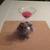 CANDLE HOLDERS, CANDLES, DIFFUSER & MATCHES 3 thumbnail