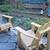 Attractive WALK-IN Furnished In-Law Apartment in Private house... 1 thumbnail