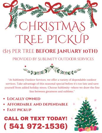 CHRISTMAS TREE PICKUP $15 (FAST PICKUP) 1