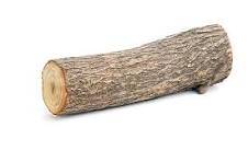Wood logs 1
