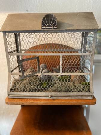 Decorative Bird Cage 1