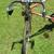 Bike Roadmaster Scorcher 10 Speed Vintage Rare Needs Repair 2 thumbnail