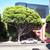 Office/Clinic in Santa Monica - Great Location & Beautiful 1 thumbnail