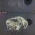 Swarovski Crystal Buffalo 624598 Retired 6” Figurine & Origina 1 thumbnail