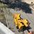 Tree service 14 thumbnail