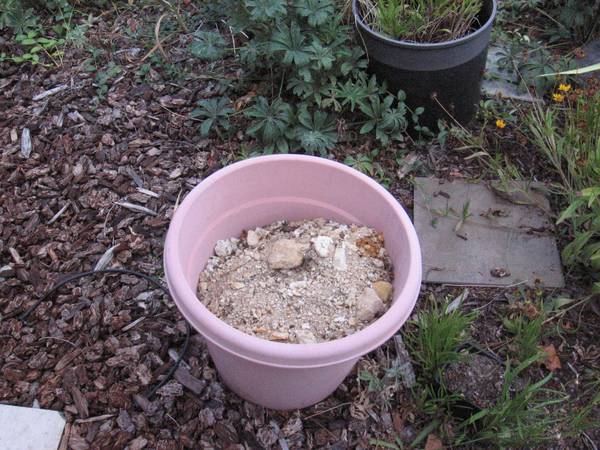 Free clay soil, dirt 1