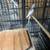 Parakeeets babies 1 thumbnail