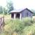 Self care horse barn/pastures for rent 3 thumbnail