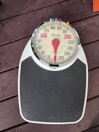 Taylor professional scale 1