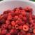 Grandma's Red Raspberry Plants 2 thumbnail