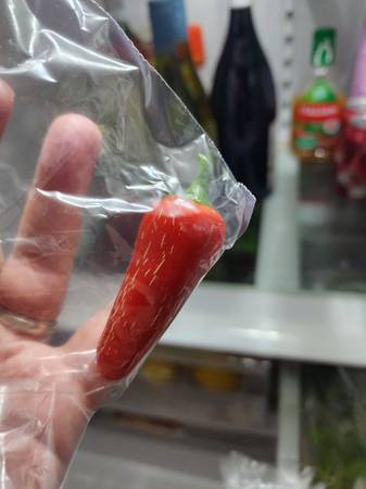 Dwarf Jalapeno Seeds 1