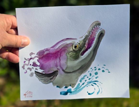 Original Fish Illustration - Hand-Signed 9x8 Watercolor & Ink 1