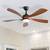 52-inch Black Modern Downrod Indoor ABS 5 Blades LED Ceiling Fan 1 thumbnail