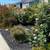 Bernardino, Gardening and landscaping🌱 15 thumbnail