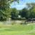 Equine Meadows 3 thumbnail