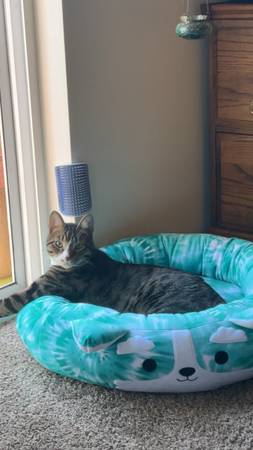 Rehoming tobias (Centralia)63949211743747120