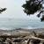 Extraordinary 1.18-acre Sooke Gem 2 thumbnail