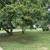 Brick Ranch 3 bed 1.5 bath For Sale 2 thumbnail