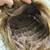 Wig 7 thumbnail