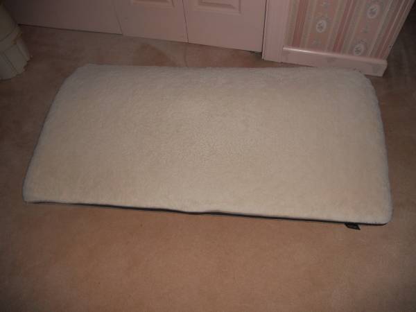 dog bed 1